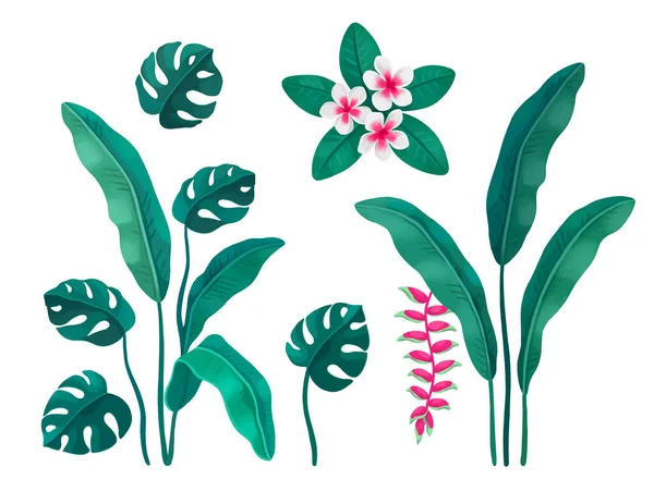 Ręcznie Malowana Ilustracja Tropikalnych Liści Kwiatów Idealny Nadruków Naklejek Plakatów — Zdjęcie stockowe