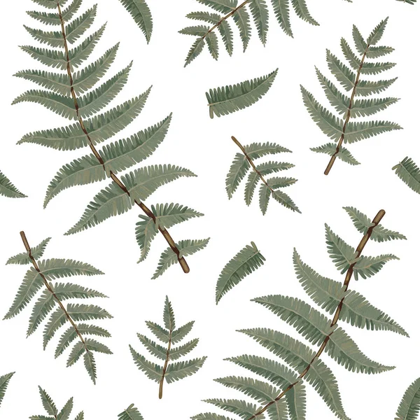 无缝隙图案的设计与手工画丙烯酸植物的蕨类植物图解 Cottegecore风格 适用于面料 家用纺织品 包装设计 文具及其他物品 — 图库照片