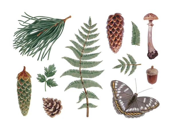 Hand Painted Acrylic Botanical Illustrations Forest Nature Cottegecore Style Perfect — Stock Photo, Image