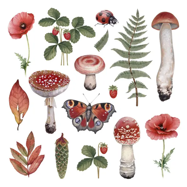 Illustrazioni Botaniche Dipinte Mano Natura Forestale Stile Cottegecore Perfetto Stampe — Foto Stock