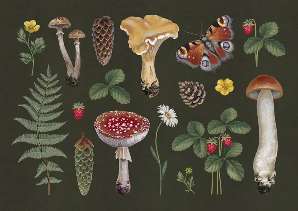 Illustrazioni Botaniche Acriliche Dipinte Mano Natura Forestale Stile Cottegecore Perfetto — Foto Stock