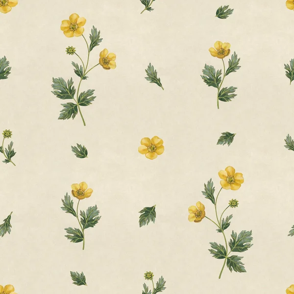 Hand Painted Illustrations Buttercup Flowers Seamless Pattern Design Cottegecore Print Stock Photo