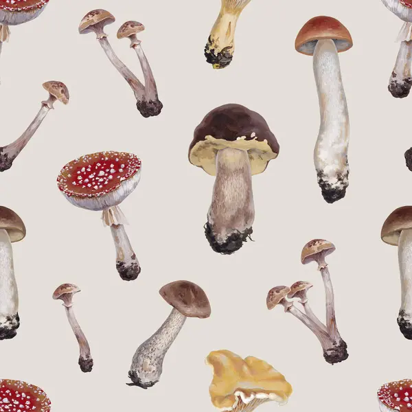 Hand Painted Acrylic Illustrations Mushrooms Cottegecore Style Perfect Fabrics Wallpapers Stock Image