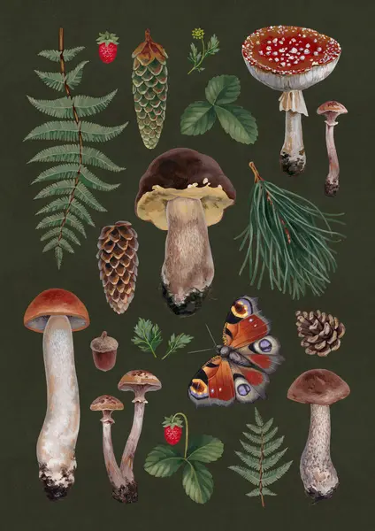 Illustrazioni Botaniche Acriliche Dipinte Mano Natura Forestale Stile Cottegecore Perfetto Fotografia Stock