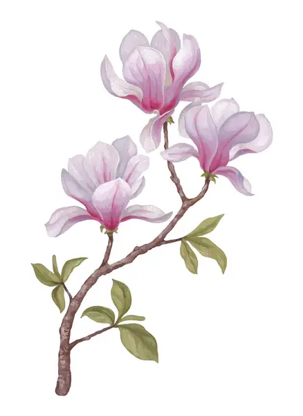 Ręcznie Malowana Akrylowa Ilustracja Kwiatu Magnolii Idealny Plakatów Tekstyliów Domowych Zdjęcie Stockowe