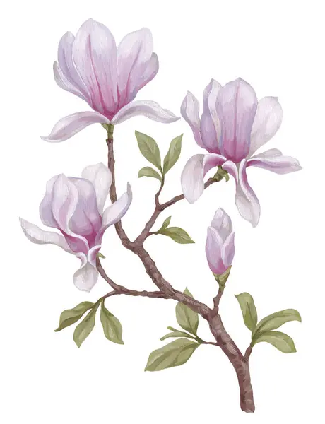 Ręcznie Malowana Akrylowa Ilustracja Kwiatu Magnolii Idealny Plakatów Tekstyliów Domowych Obrazy Stockowe bez tantiem