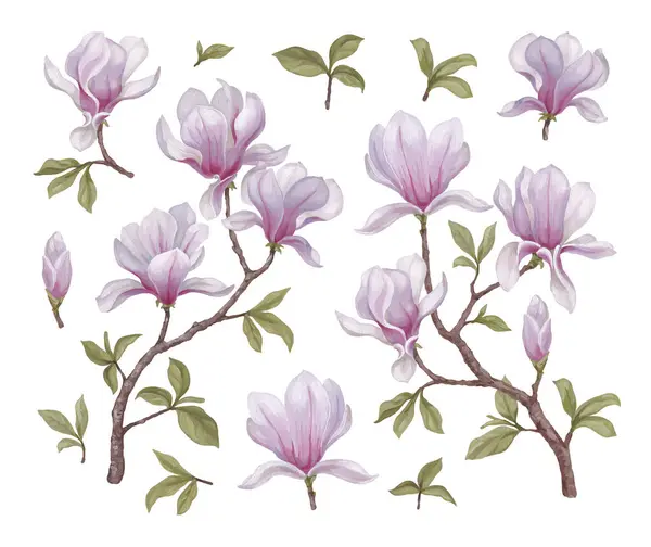Handgemalte Illustrationen Von Magnolienblüten Acryl Perfekt Für Heimtextilien Verpackungsdesign Schreibwaren Stockbild