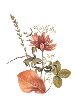 Kurutulmuş bitki ve yaprakların el çizimi. Sonbahar kompozisyonu. Posterler, tekstil, duvar dekorasyonu, giysi, ambalaj tasarımı, kırtasiye malzemeleri ve diğer basılı eşyalar için mükemmel.