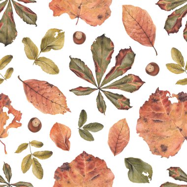 Düşen yaprakların resimleriyle birlikte zarif el çizimi desen tasarımı. Ev tekstili, duvar kağıtları, kumaşlar, giysi, ambalaj tasarımı, kırtasiye malzemeleri ve diğer basılı eşyalar için mükemmel.