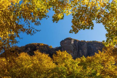 Stowe, Vermont yakınlarındaki Notch adlı kaçakçının kayalık zirvesine doğru bir yaprak çerçevesinden bakın.