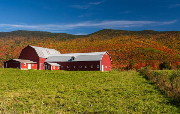 秋季彩色季节 佛蒙特州斯托附近道路旁边的大型现代化农场谷仓 — 图库照片