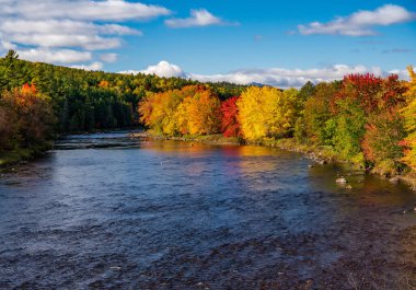 Sonbaharda Adirondacks, New York 'ta Saranac nehrinin etrafındaki renkli sonbahar ağaçları