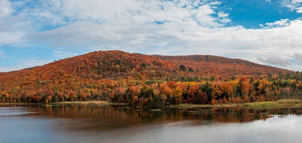 Klidný Rybník Belvidere Vermontu Odrážející Stromy Během Podzimní Sezóny — Stock fotografie
