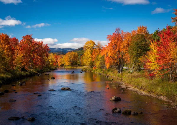 Πολύχρωμα Δέντρα Πτώση Γύρω Από Τον Ποταμό Saranac Στο Adirondacks — Φωτογραφία Αρχείου