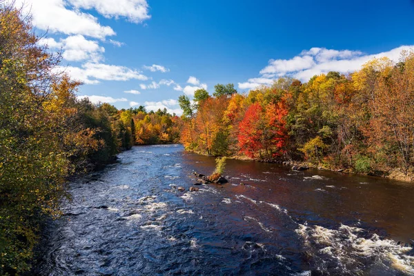 Barevné Podzimní Stromy Kolem Řeky Saranac Redfordu Adirondacks Státě New — Stock fotografie
