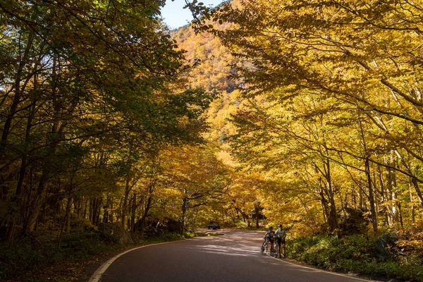 Stowe Října 2022 Cyklisté Bojují Kopci Pašerákům Notch Podzim Vermontu — Stock fotografie