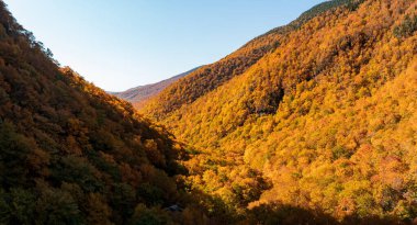 Kaçakçıların hava manzarası Notch Stowe 'a sonbahar renklerinde bakıyor