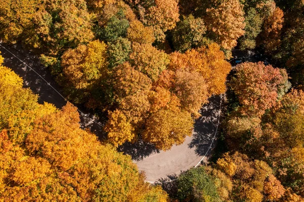 Letecký Pohled Úzký Ohyb Vlásenky Silnici Přes Pašeráky Zářez Podzim — Stock fotografie