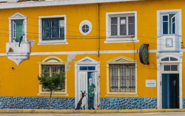 Punta Arenas, Chile - 27 January 2023: Wall mural of vets office on bulding wall by seafront
