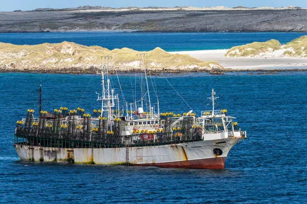 Port Stanley Falkland Adaları Ocak 2023 Mürekkep Balığı Avlamak Için — Stok fotoğraf