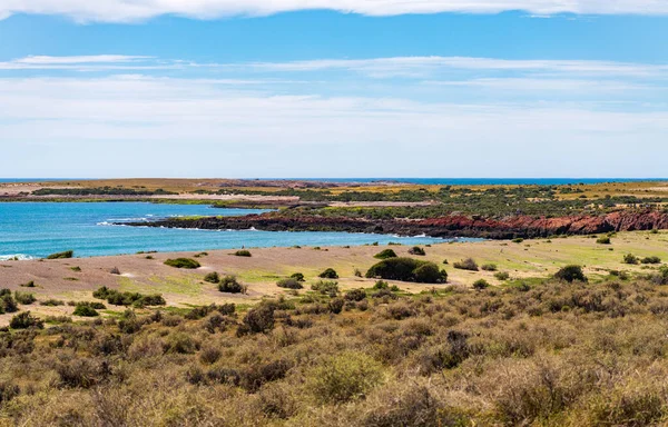 Landschap Van Punta Tombo Magelhaenkolonie Provincie Chubut Argentinië — Stockfoto
