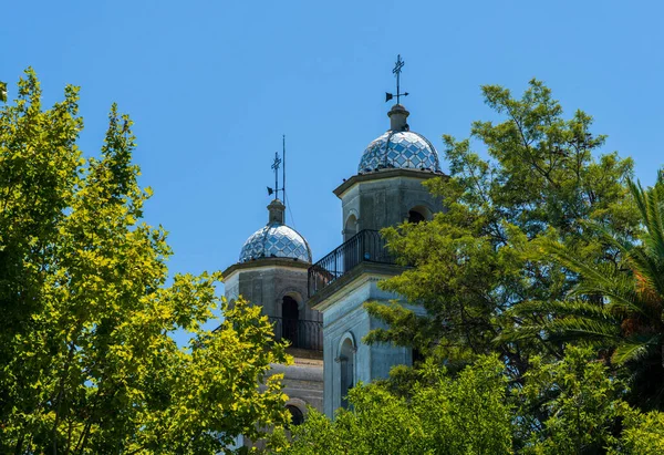 Colonia Del Sacramento乌拉圭树上的教堂塔 — 图库照片