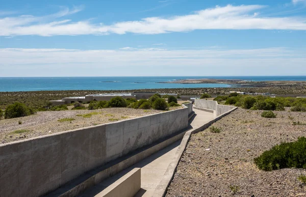 Betonnen Pad Met Uitzicht Punt Voor Toeristen Punta Tombo Pinguïn — Stockfoto