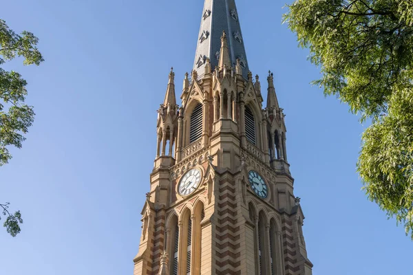 View Tall Church Spire San Isidro Cathedral Buenos Aires Argentina — Stock Photo, Image