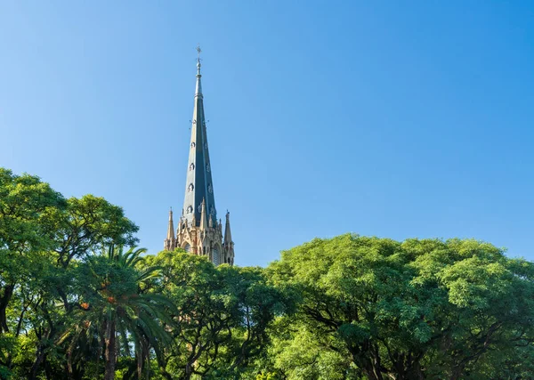 Widok Liści Wysokiej Wieży Kościoła Wieży Zegarowej Katedry San Isidro — Zdjęcie stockowe