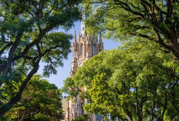 Leafy Uitzicht Hoge Kerk Torenspits Klokkentoren Van San Isidro Kathedraal — Stockfoto