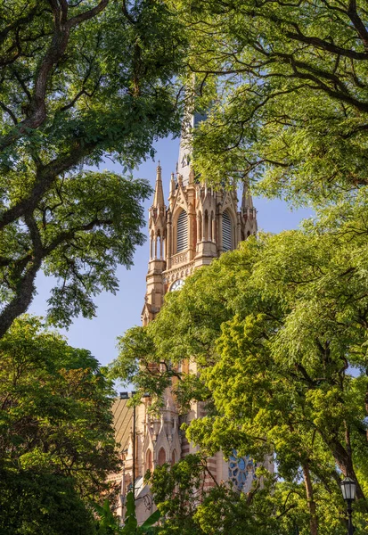アルゼンチンのブエノスアイレス近くにあるサン イシドロ大聖堂の背の高い教会尖塔と時計塔の眺め — ストック写真