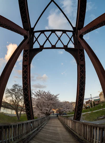 Ancien Pont Poutres Acier Transportant Des Sentiers Pédestres Cyclables Morgantown — Photo