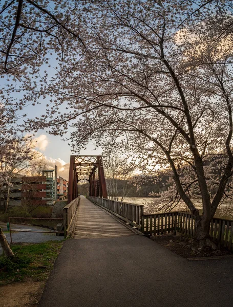 Ponte Viga Aço Velha Carregando Trilha Caminhada Ciclismo Morgantown Sobre — Fotografia de Stock