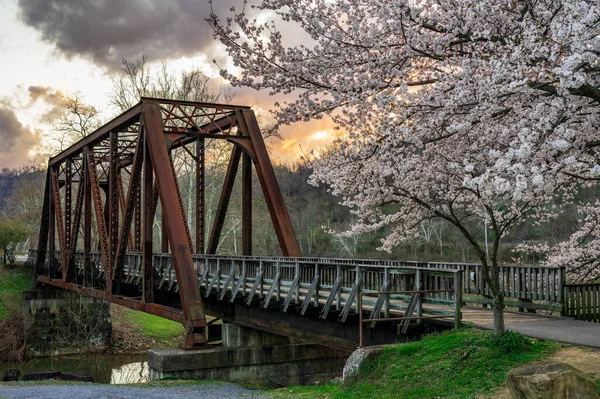 春天开着樱花的老钢梁桥 载着步行和骑自行车的小径 穿过甲板溪 — 图库照片