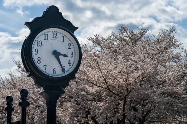Alte Uhr Wander Und Radweg Morgantown Mit Kirschblüten Die Frühling — Stockfoto