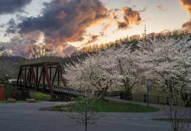 Morgantown WV 'de yürüme ve bisiklet yolu taşıyan eski çelik kiriş köprüsü. Baharda kiraz çiçekleri açan Deckers Deresi üzerinde.