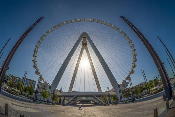 位于朱美拉蓝水岛上的Ain Dubai或Dubai Eye Observation Wheel — 图库照片
