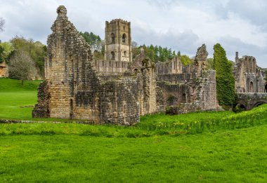 İlkbaharda İngiltere 'nin Yorkshire kentindeki Fountains Abbey harabelerinin ayrıntıları