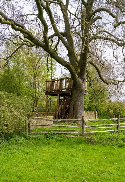 Platforma Drewnianego Domku Drzewie Gałęziach Starego Drzewa Wiosną — Zdjęcie stockowe