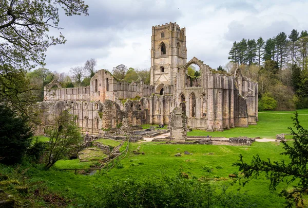 Detail Ruins Fountains Abbey Yorkshire United Kingdom Spring Leaves Start — Stock Photo, Image