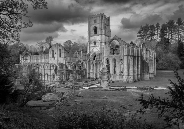 英国约克郡喷泉修道院废墟的细节在春天变成了黑白相间的 — 图库照片