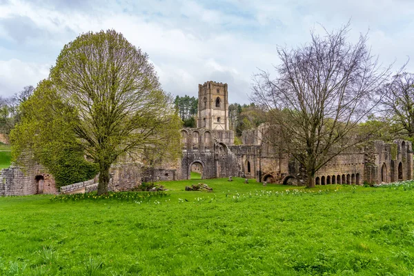 Szczegóły Ruin Fontann Opactwa Yorkshire Wielka Brytania Wiosnę Jak Liście — Zdjęcie stockowe