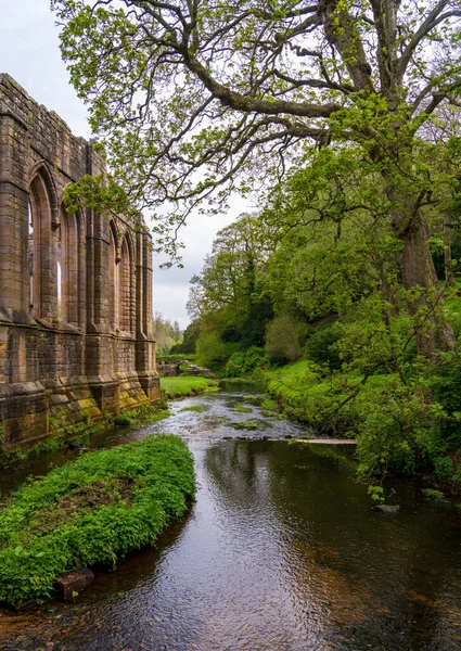 英国约克郡喷泉修道院废墟的细节 斯凯尔河流过 — 图库照片