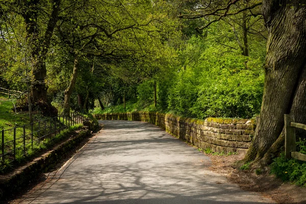 Narrow Paved Road Stone Walls Leading Distant Corner Overhanging Trees — Stock Photo, Image