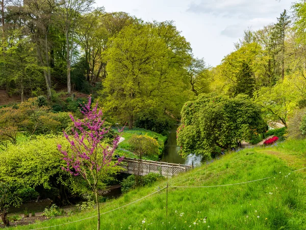 Blick Ein Tal Einem Naturpark Oder Garten Mit Holzbrücke Über — Stockfoto