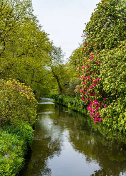 在英格兰北部的自然公园或有平静河流的花园中俯瞰山谷 — 图库照片