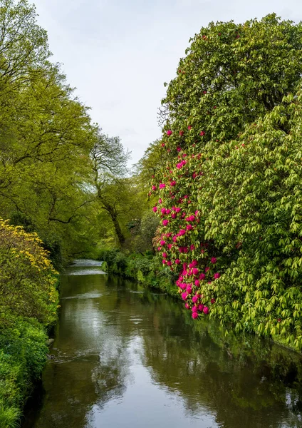View Valley Natural Park Gardenwith Calm River North England — Stock Photo, Image
