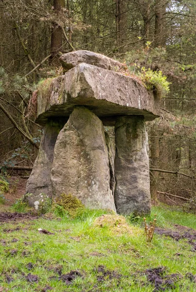 Wiktoriańskie Szaleństwo Plantacji Druidów Stojącymi Kamieniami Stworzonymi Lesie Nidderdale Yorkshire — Zdjęcie stockowe