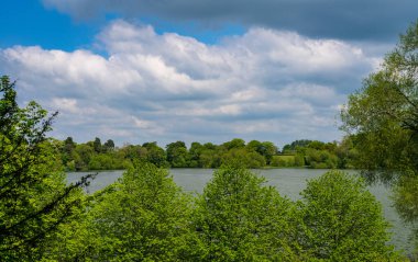 Shropshire, Ellesmere 'deki Mere Gölü kıyısının panoraması.