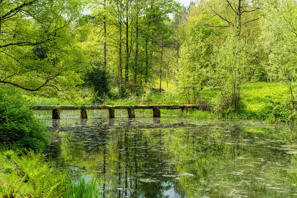 英国公园中横跨池塘或平静湖泊的古老石板花岗岩桥 — 图库照片